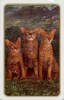 Back of the cards - Three Kitties!