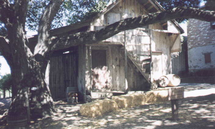 Photo-Homestead House