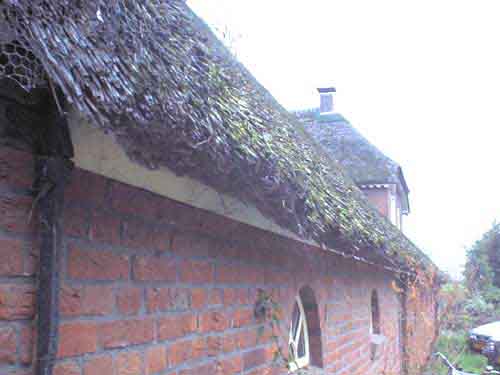 ThatchedRoof