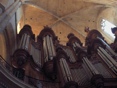 FranceCathedralPipes