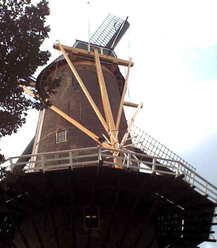 WindmillBack