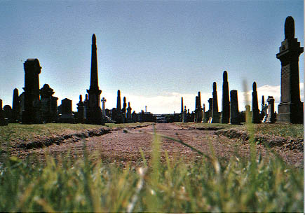 Cemetery Worms Eye view