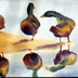 too_many_ducks_thm.gif (5374 bytes)