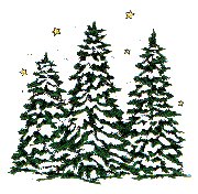 Fir Trees