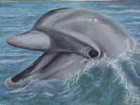 Dolphin.jpg (49513 bytes)