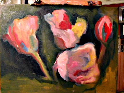 Tulip Study