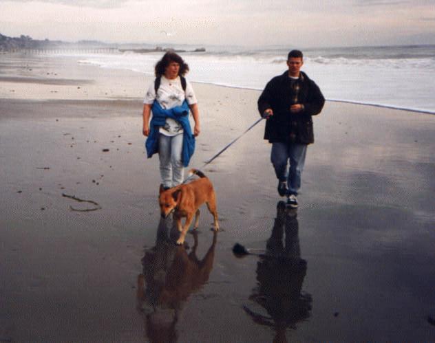 Walking dogs on Rio del Mar beach