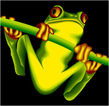 Frog.jpg (34350 bytes)