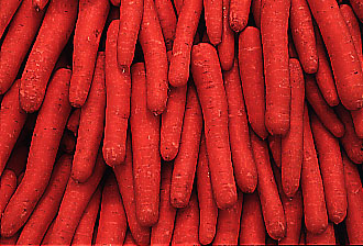 carrots.jpg