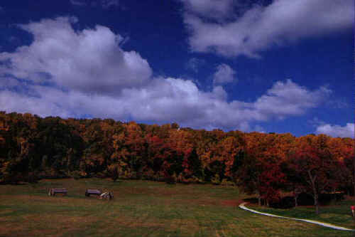 Valley Forge Cabins