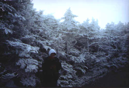 Cannon Mountain