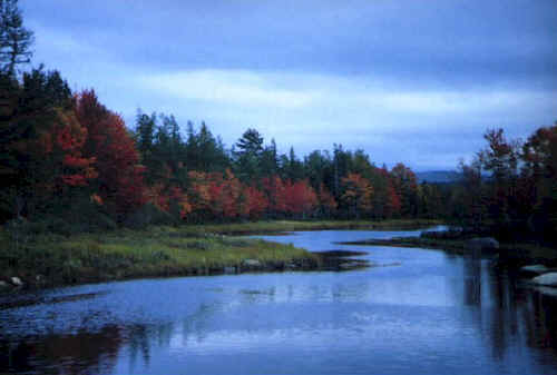 Maine Stream