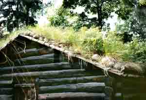 sod roof on farmhouse