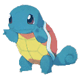 poksquirtle.gif (5758 bytes)