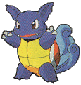 pokwartortle.gif (9145 bytes)