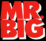 mrbiglogo.gif (16776 bytes)