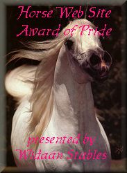 Widaan Award of Pride