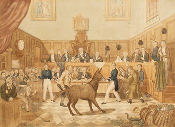 illustration of The Trial of Bill Burn