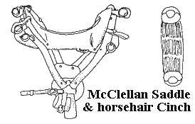 McClellan saddle illustration