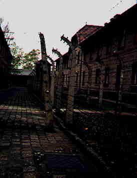 The camp was surrounded by double barbed wire.