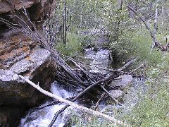 Mountain Stream 1