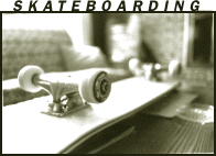 skateboard