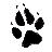 paw