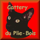 Cattery du Plie-Bois