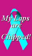 Chipped Laps