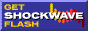 Download Shockwave Flash