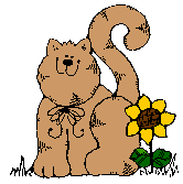 sunflower cat