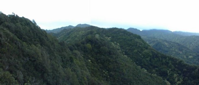 The trail follows the Wa'ahila Ridge up into the Ko'olau (windward) Mountains.