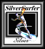 Silver Surfer Award