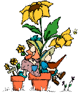 sunflower kids