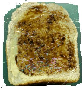 Vegemite sandwich! Yeah so I scanned a sandwich ....