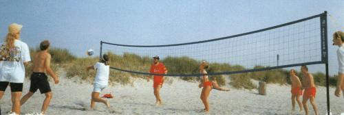 volley1.jpg (14568 bytes)