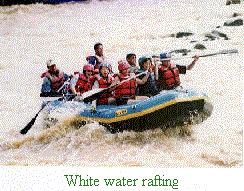 rafting.gif (22268 bytes)