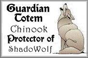 Chinook the Guardian Totem protector of ShadoWolf