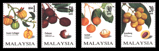 Rare Fruits of Malaysia