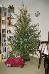 2004010419 kerstboom.jpg (404187 bytes)