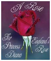 Diana red rose pic