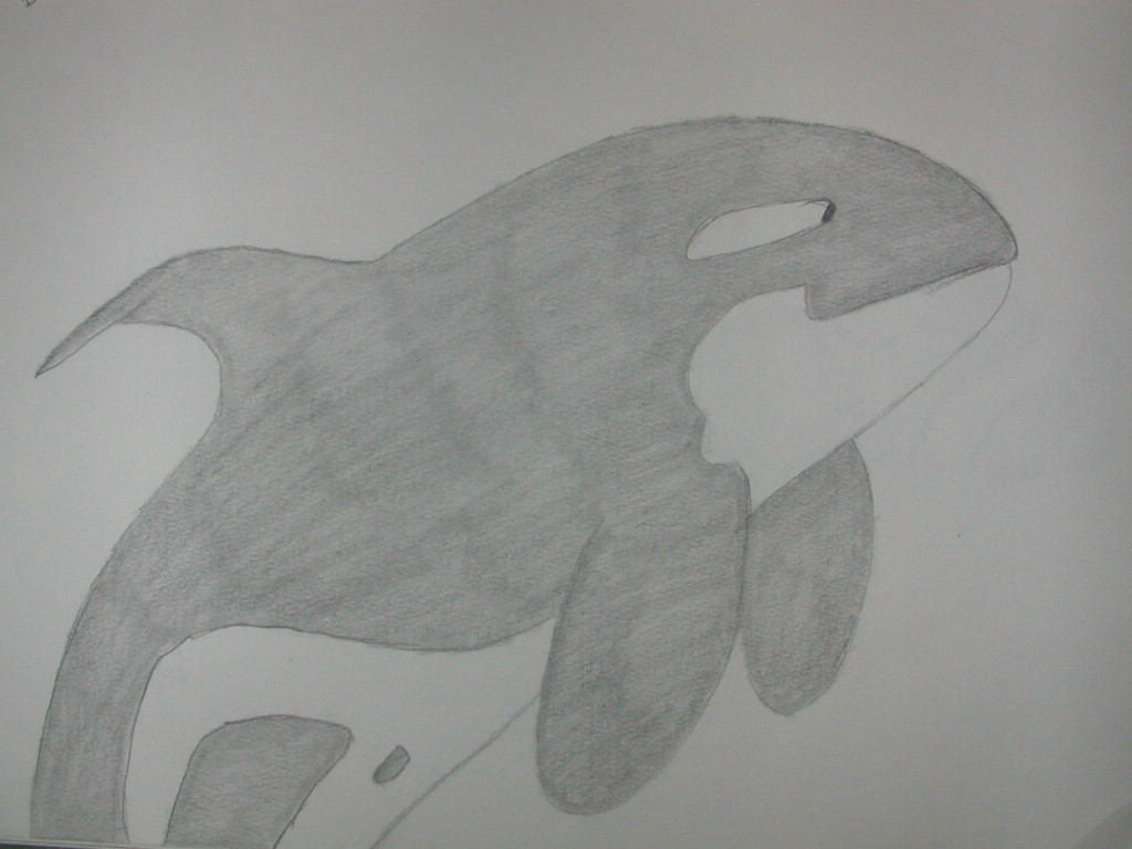 Just a little old whale..  well, big I guess. :)