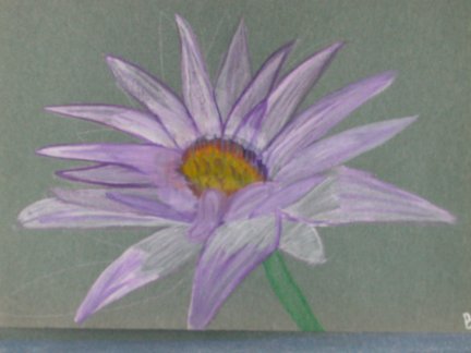 This is a chalk, watercolor painting done on constuction paper.