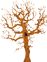 SpookyTree