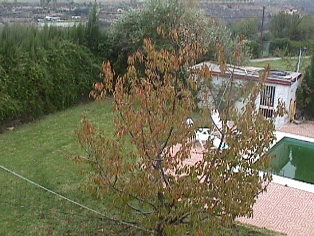 El jardn desde la terraza de arriba