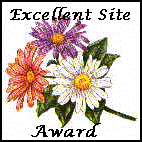 Excellent Site Award