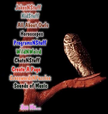 JokesNStuff,Create A Page, CrosswordsNPuzzles, MagazinesNQuizzes, All about Owls, Horoscopes, WildNWeird, Kidstuff, Programs,Chats