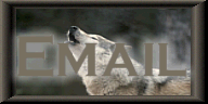 Wolf Email Button