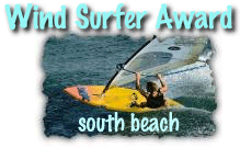 Wind Surfer Award