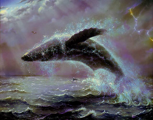 whale